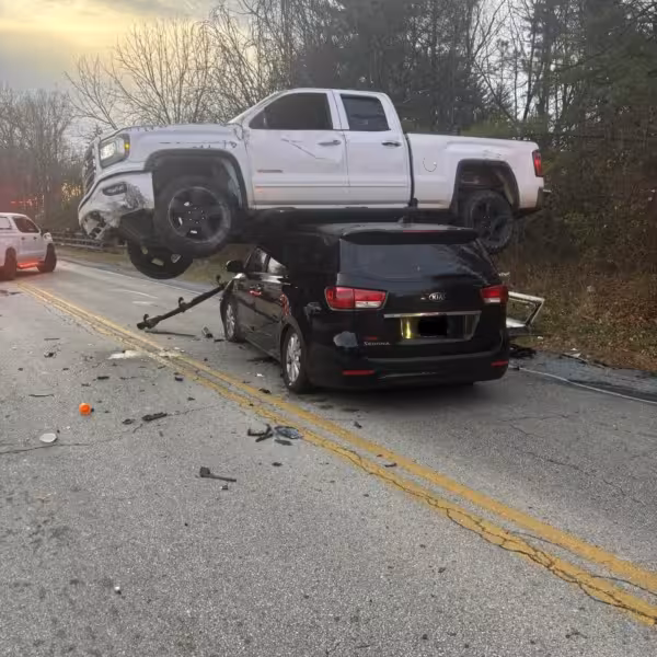 dragongoose's website